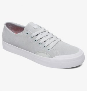 Скейтовые кеды Evan Lo Zero S DC Shoes