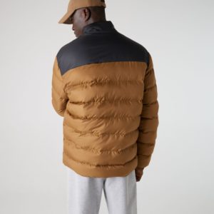 Куртка Lacoste , для мужчин