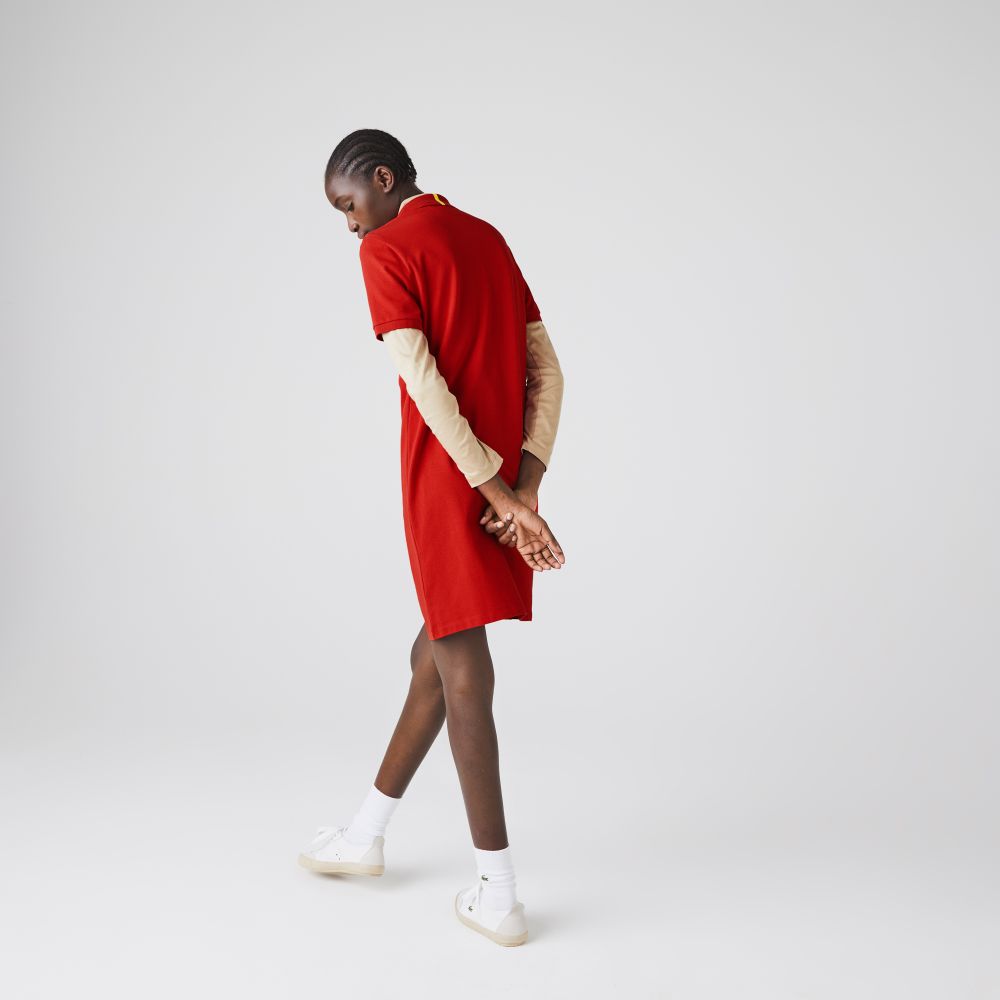 Платье Lacoste NATIONAL GEOGRAPHIC, для женщин Платье Lacoste NATIONAL GEOGRAPHIC, для женщин