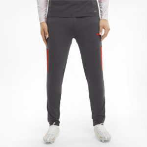 Штаны teamLIGA Pro Training Men's Football Pants Puma - Puma Штаны teamLIGA Pro Training Men's Football Pants Puma - Цвет: Серый