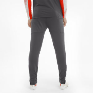 Штаны teamLIGA Pro Training Men's Football Pants Puma - Пол: Мужской