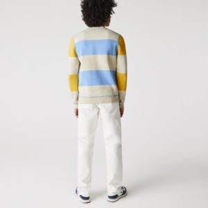 Свитер Lacoste , цвет разноцветный, для мужчин Свитер Lacoste , цвет разноцветный, для мужчин