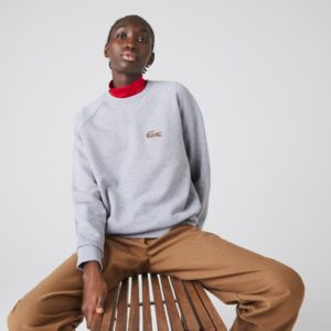 Толстовка Lacoste NATIONAL GEOGRAPHIC , цвет серый, для женщин Толстовка Lacoste NATIONAL GEOGRAPHIC , цвет серый, для женщин