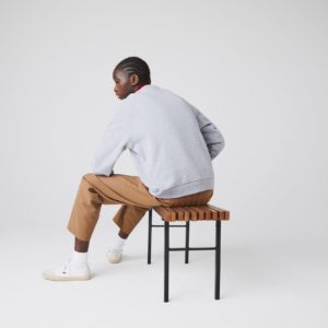 Толстовка Lacoste NATIONAL GEOGRAPHIC , цвет серый, для женщин