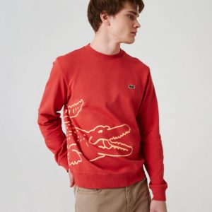 Толстовка Lacose , цвет красный, для мужчин Толстовка Lacose , цвет красный, для мужчин