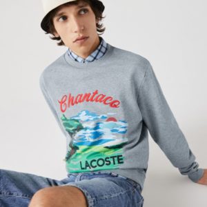 Толстовка Lacoste , цвет серый, для мужчин Толстовка Lacoste , цвет серый, для мужчин