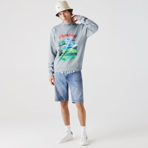 Толстовка Lacoste , цвет серый, для мужчин