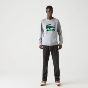 Толстовка Lacoste , для мужчин Толстовка Lacoste , для мужчин