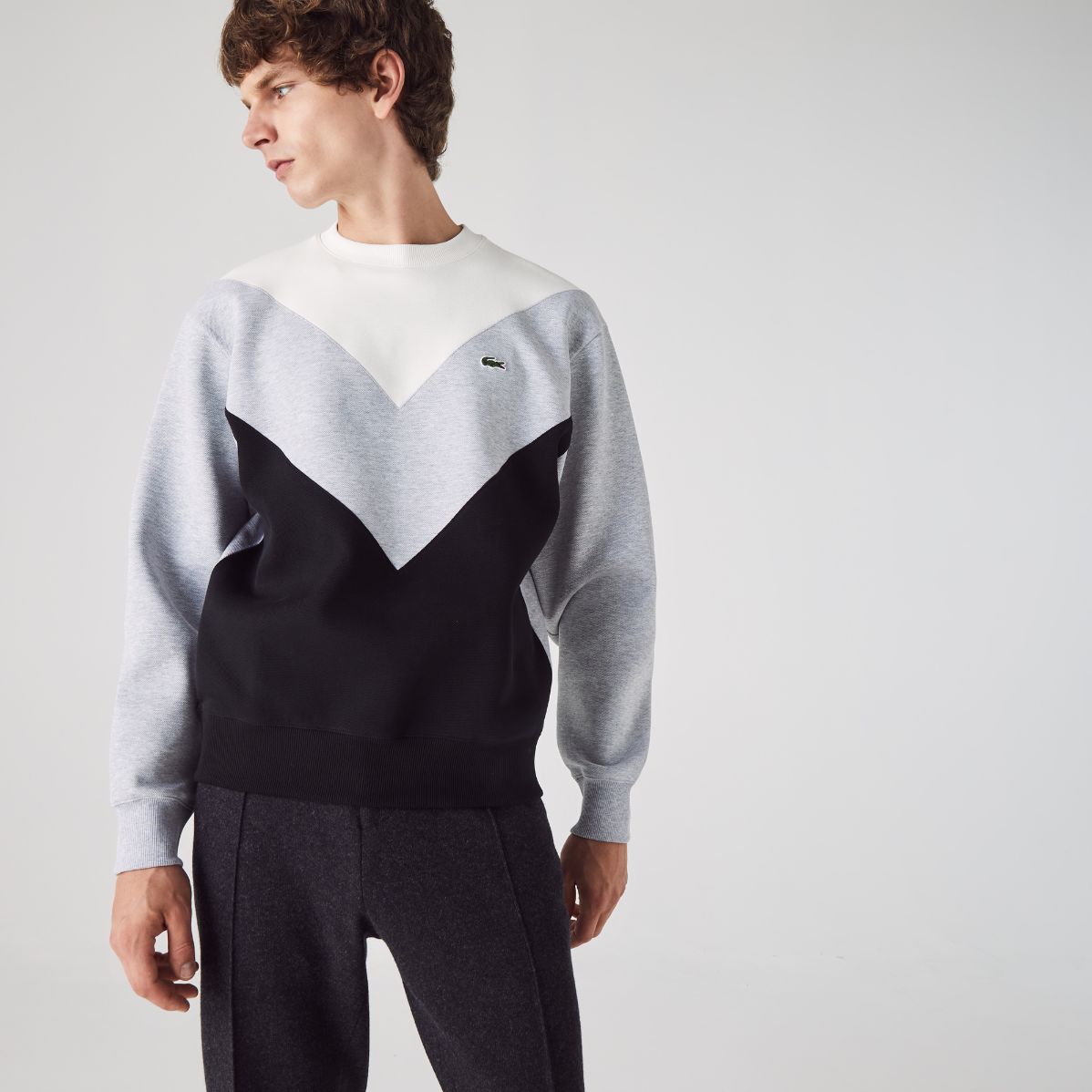 Толстовка Lacoste , для мужчин Толстовка Lacoste , для мужчин