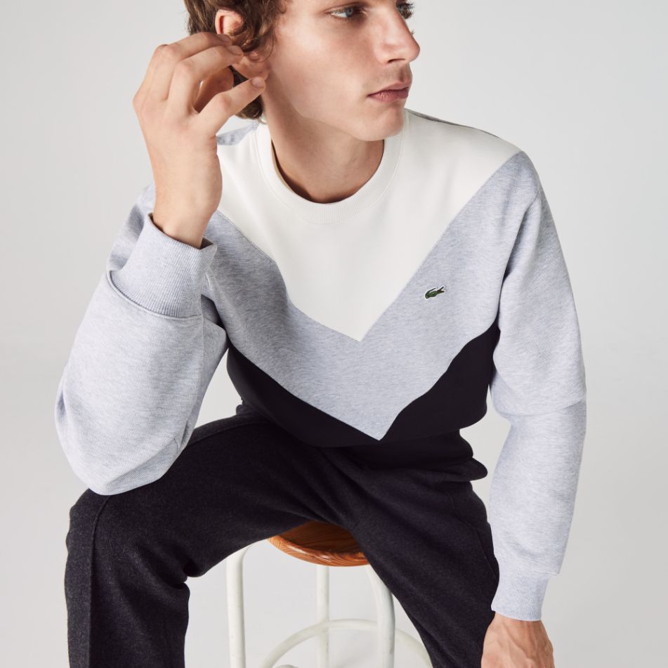 Толстовка Lacoste , для мужчин Толстовка Lacoste , для мужчин