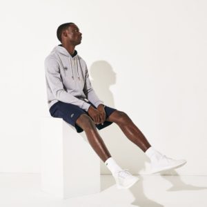Толстовка Lacose ROLAND GARROS , цвет серый, для мужчин Толстовка Lacose ROLAND GARROS , цвет серый, для мужчин