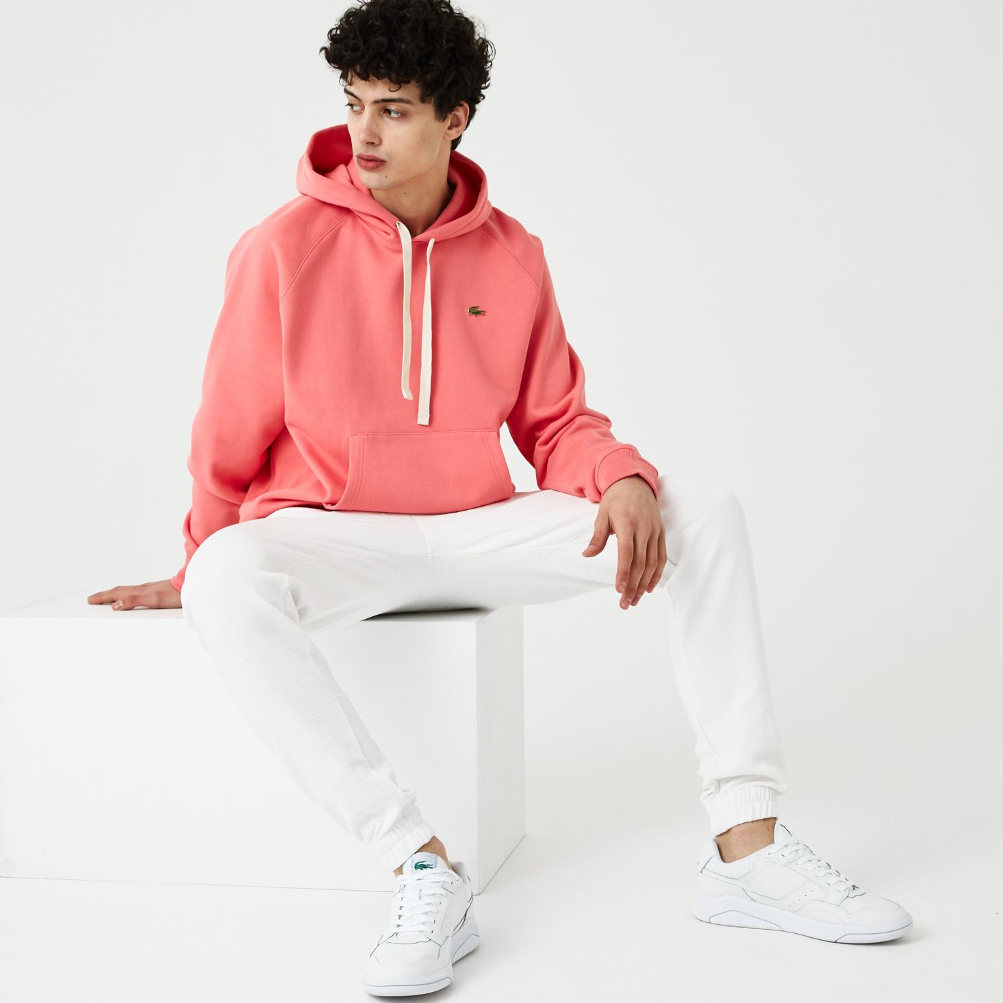 Толстовка Lacoste , для мужчин Толстовка Lacoste , для мужчин