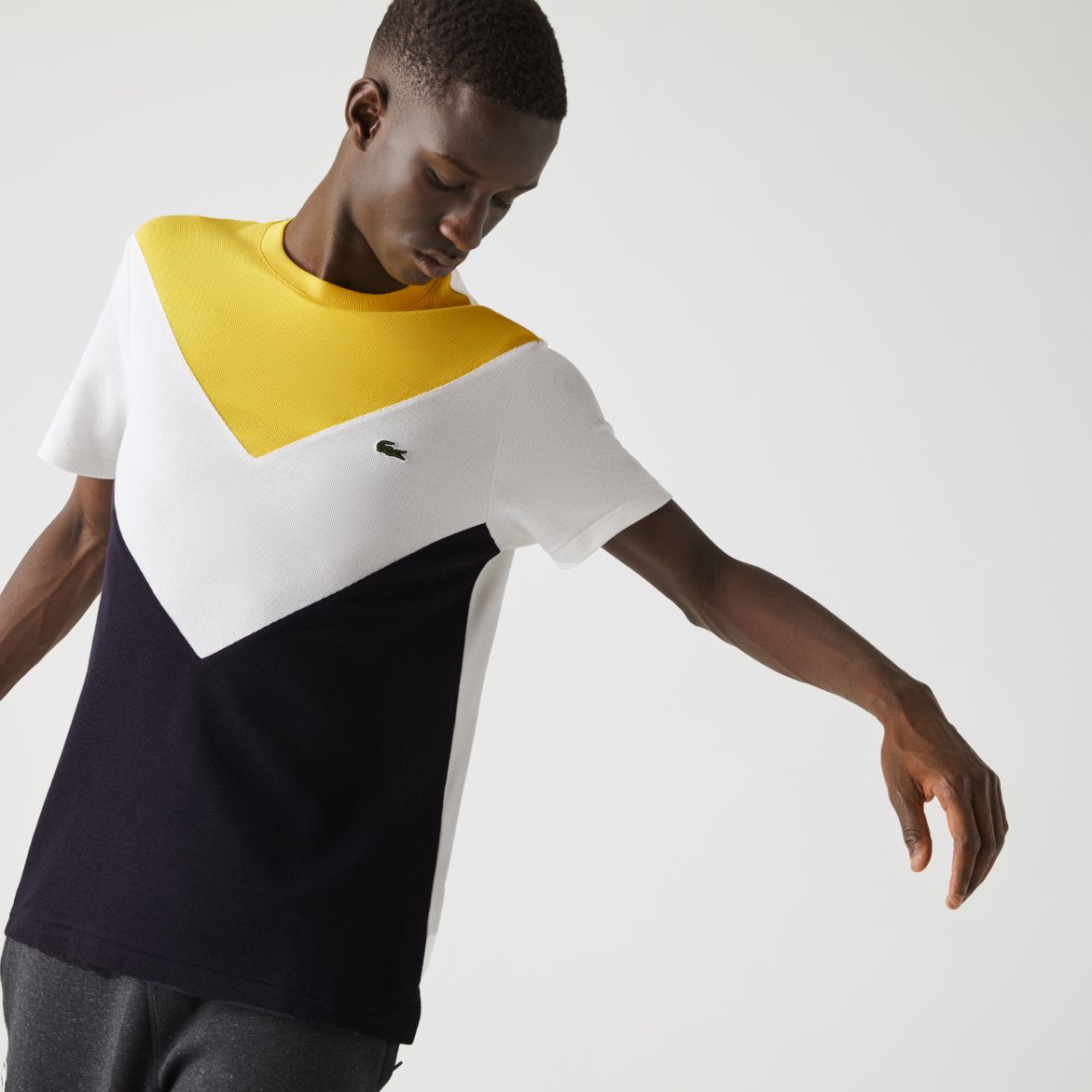Футболка Lacoste , цвет разноцветный, для мужчин Футболка Lacoste , цвет разноцветный, для мужчин