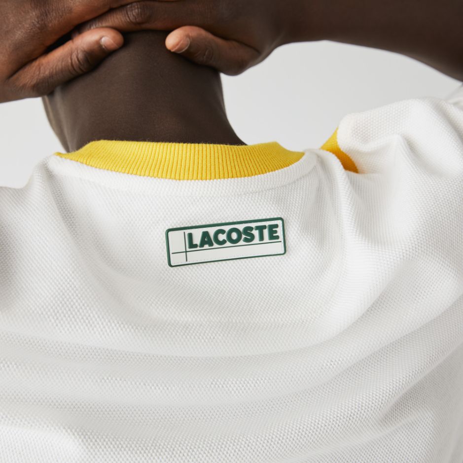 Футболка Lacoste , цвет разноцветный, для мужчин Футболка Lacoste , цвет разноцветный, для мужчин
