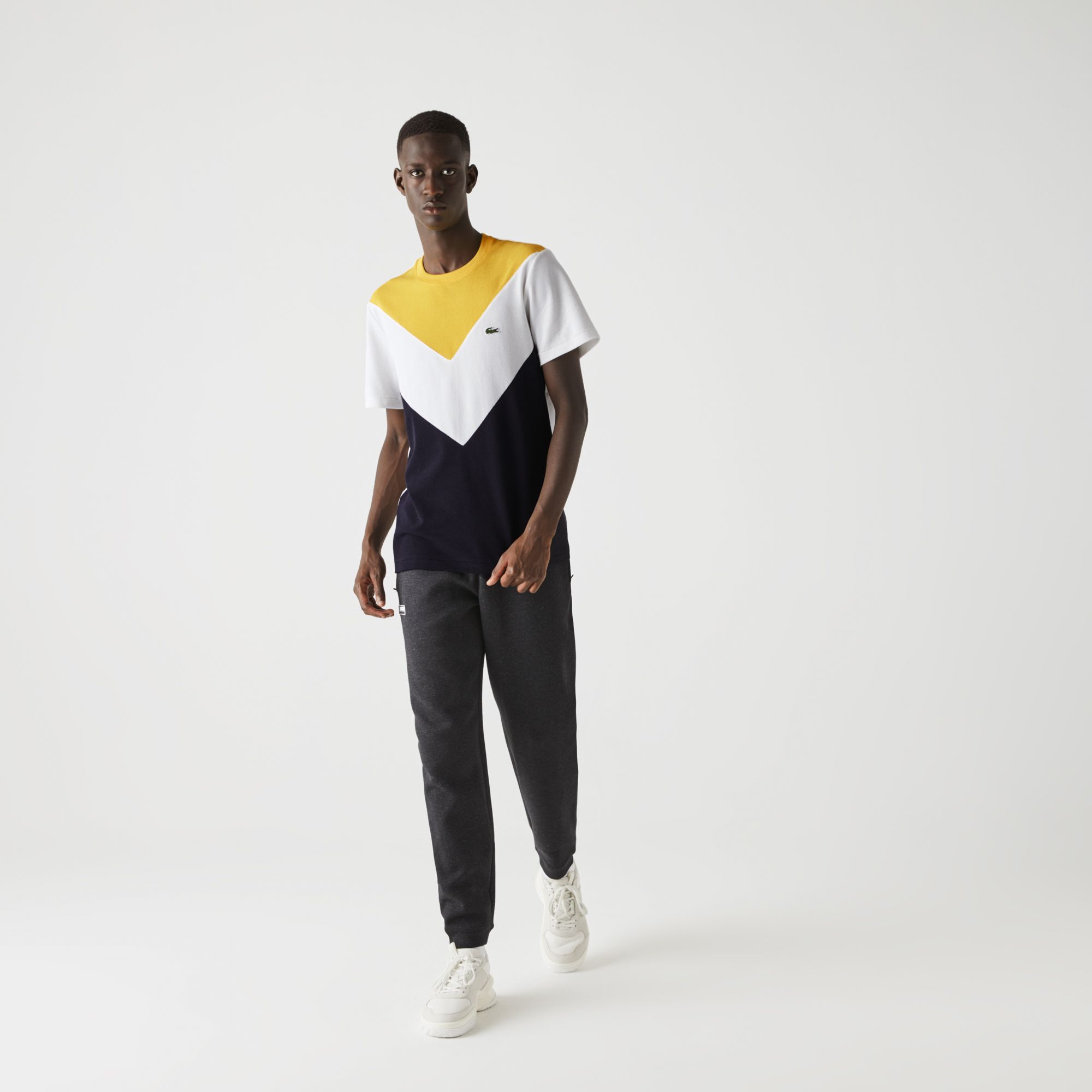 Футболка Lacoste , цвет разноцветный, для мужчин Футболка Lacoste , цвет разноцветный, для мужчин