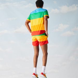 Футболка Lacoste POLAROID , цвет разноцветный, для мужчин