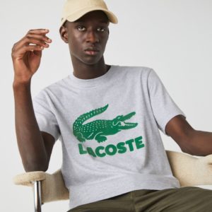 Футболка Lacoste , цвет серый, для мужчин Футболка Lacoste , цвет серый, для мужчин