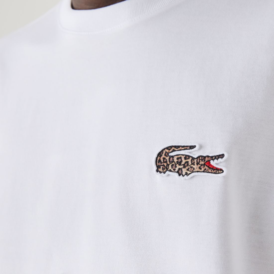 Футболка Lacoste NATIONAL GEOGRAPHIC , для мужчин Футболка Lacoste NATIONAL GEOGRAPHIC , для мужчин