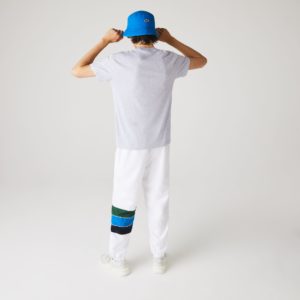 Футболка Lacoste , цвет серый, для мужчин
