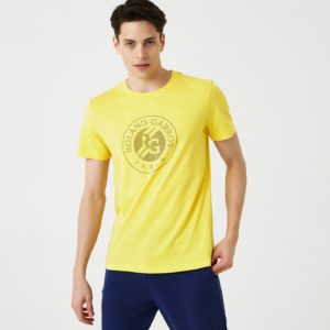 Футболка Lacoste ROLAND GARROS PERFORMANCE , для мужчин Футболка Lacoste ROLAND GARROS PERFORMANCE , для мужчин