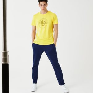 Футболка Lacoste ROLAND GARROS PERFORMANCE , для мужчин