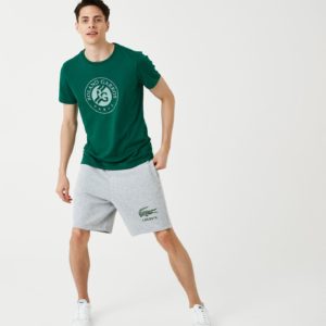Футболка Lacoste ROLAND GARROS PERFORMANCE , для мужчин