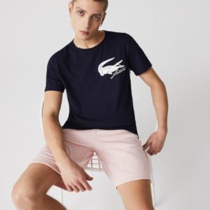 Футболка Lacoste ROLAND GARROS PERFORMANCE , цвет синий, для мужчин Футболка Lacoste ROLAND GARROS PERFORMANCE , цвет синий, для мужчин