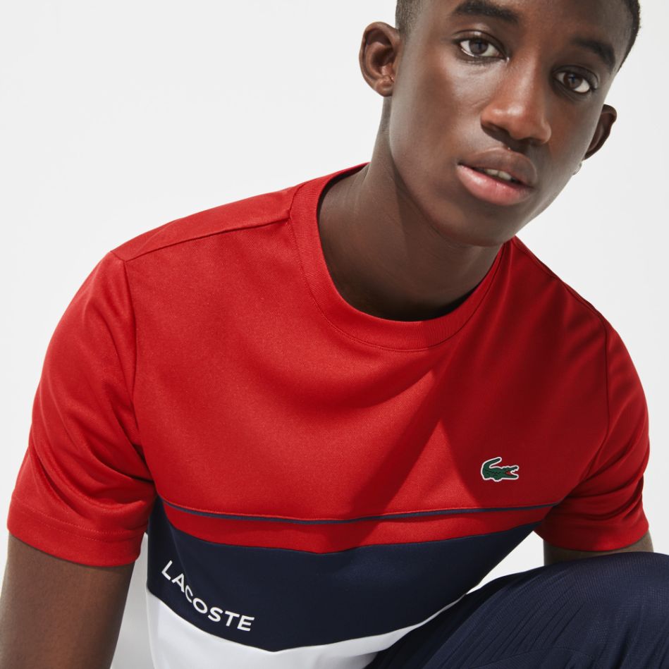 Футболка Lacoste , цвет разноцветный, для мужчин Футболка Lacoste , цвет разноцветный, для мужчин